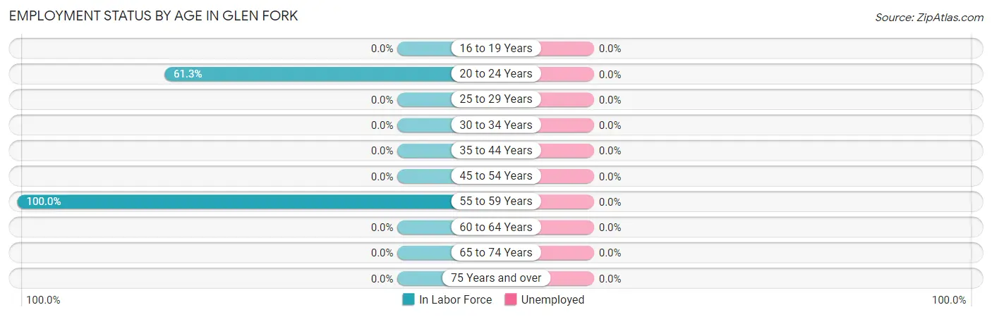 Employment Status by Age in Glen Fork