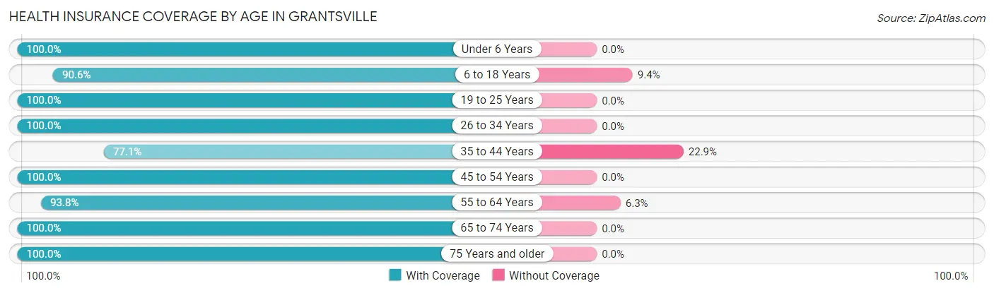 Health Insurance Coverage by Age in Grantsville