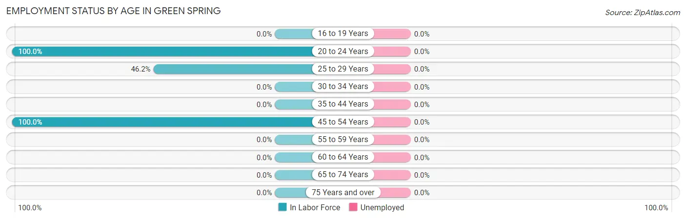 Employment Status by Age in Green Spring