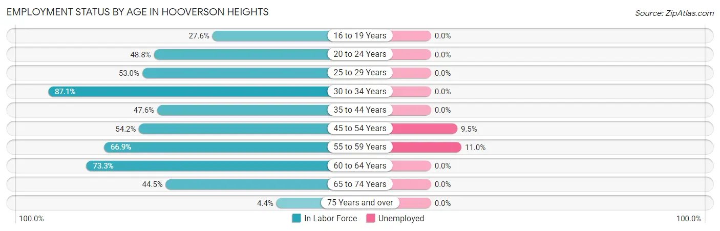 Employment Status by Age in Hooverson Heights