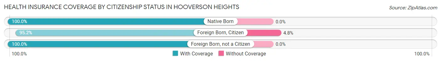 Health Insurance Coverage by Citizenship Status in Hooverson Heights
