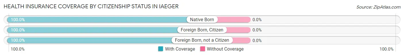Health Insurance Coverage by Citizenship Status in Iaeger