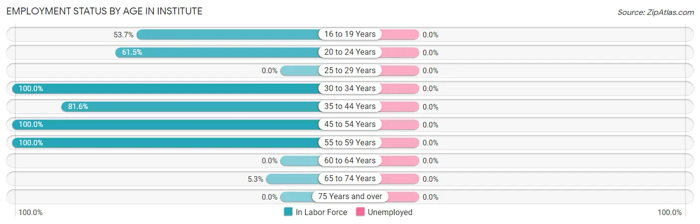 Employment Status by Age in Institute