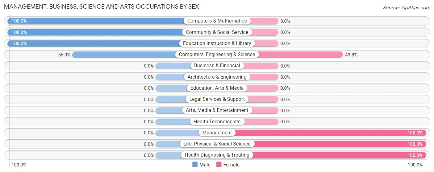 Management, Business, Science and Arts Occupations by Sex in Institute