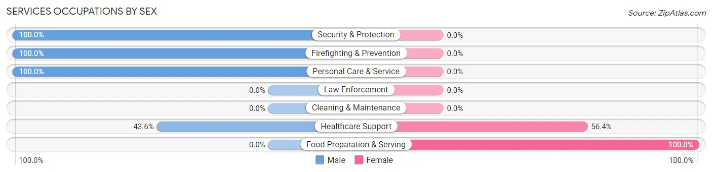 Services Occupations by Sex in Institute