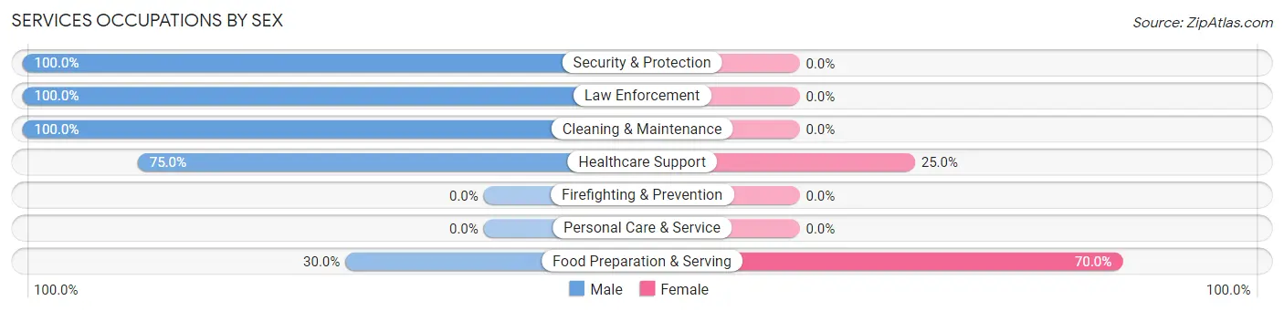 Services Occupations by Sex in Jane Lew