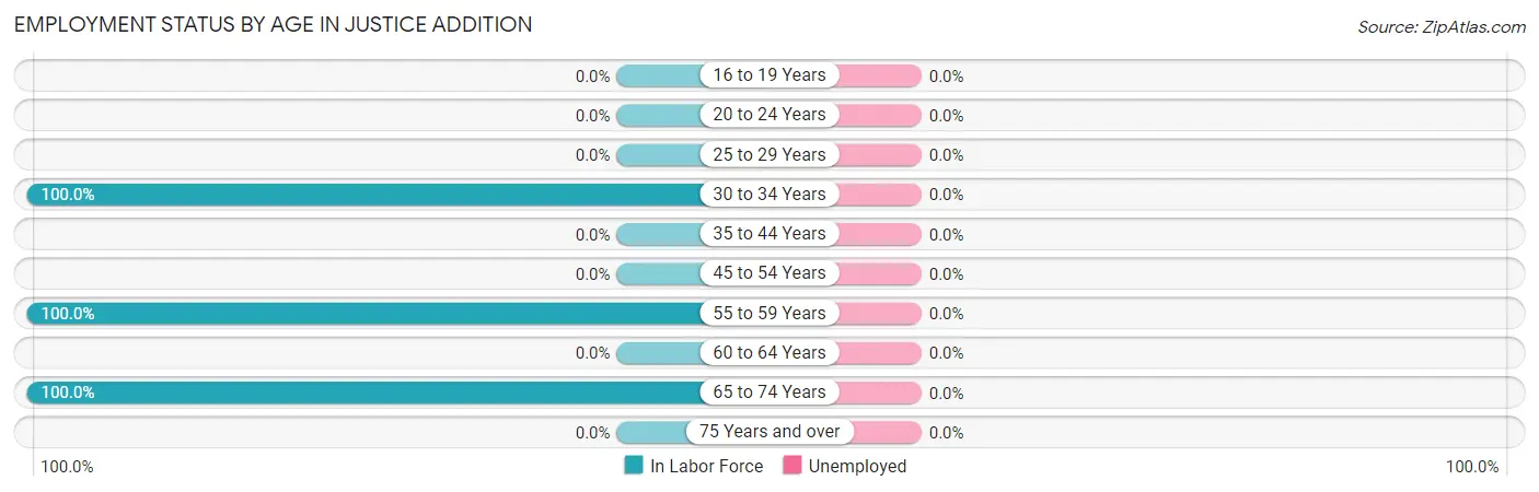 Employment Status by Age in Justice Addition