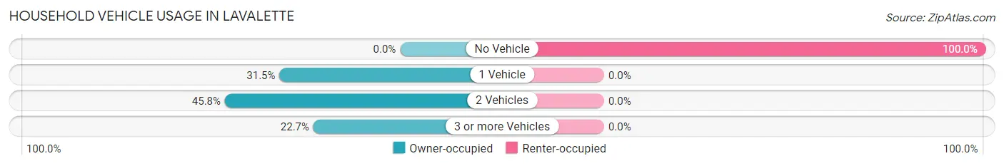 Household Vehicle Usage in Lavalette