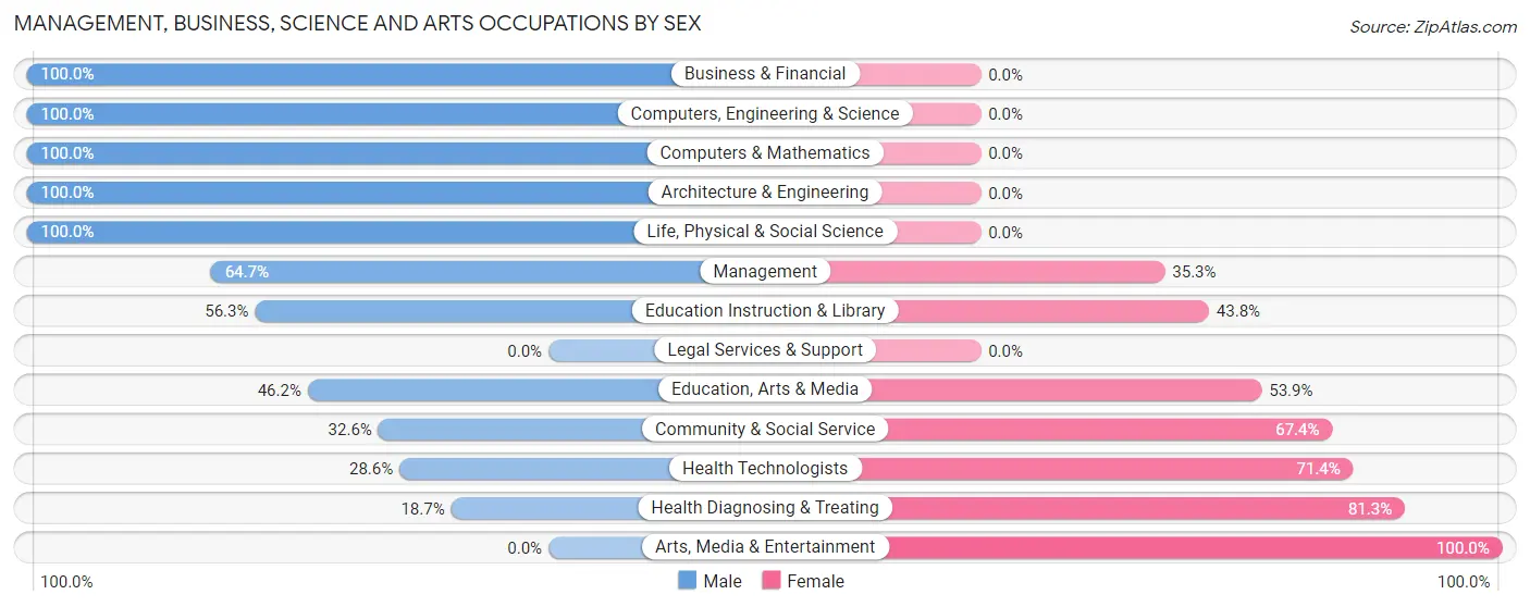 Management, Business, Science and Arts Occupations by Sex in Mabscott