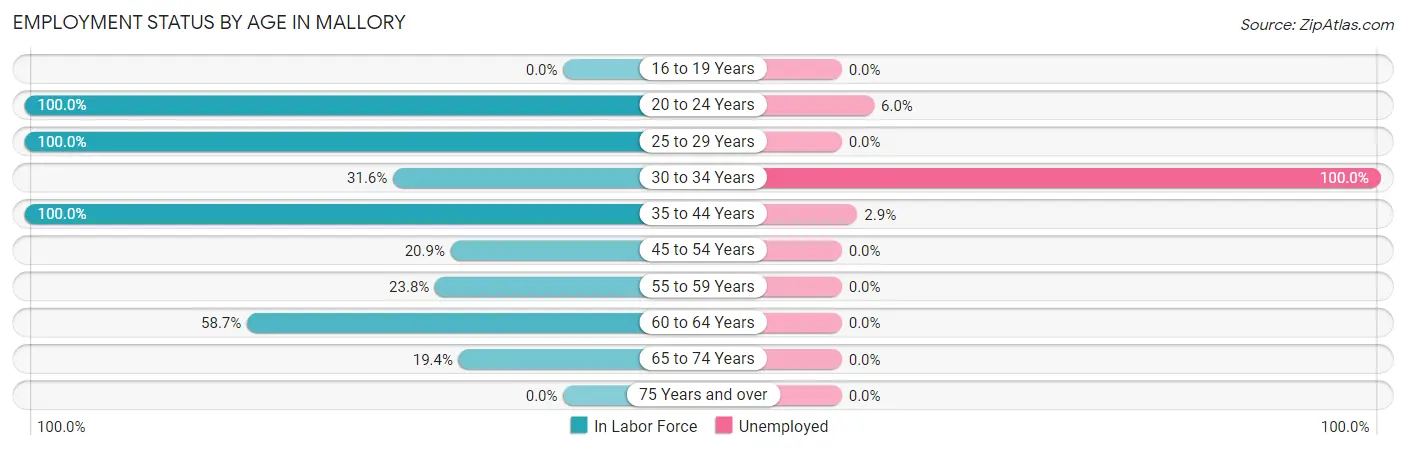 Employment Status by Age in Mallory