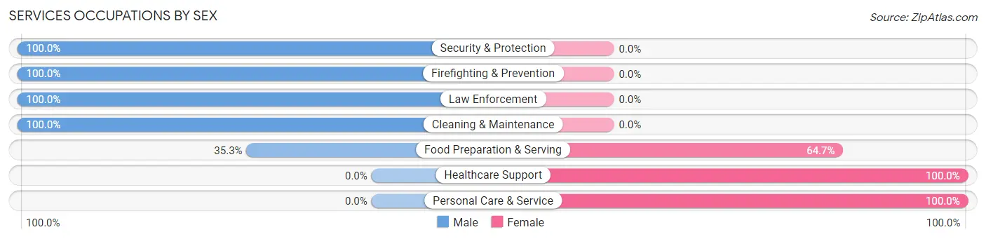 Services Occupations by Sex in Man