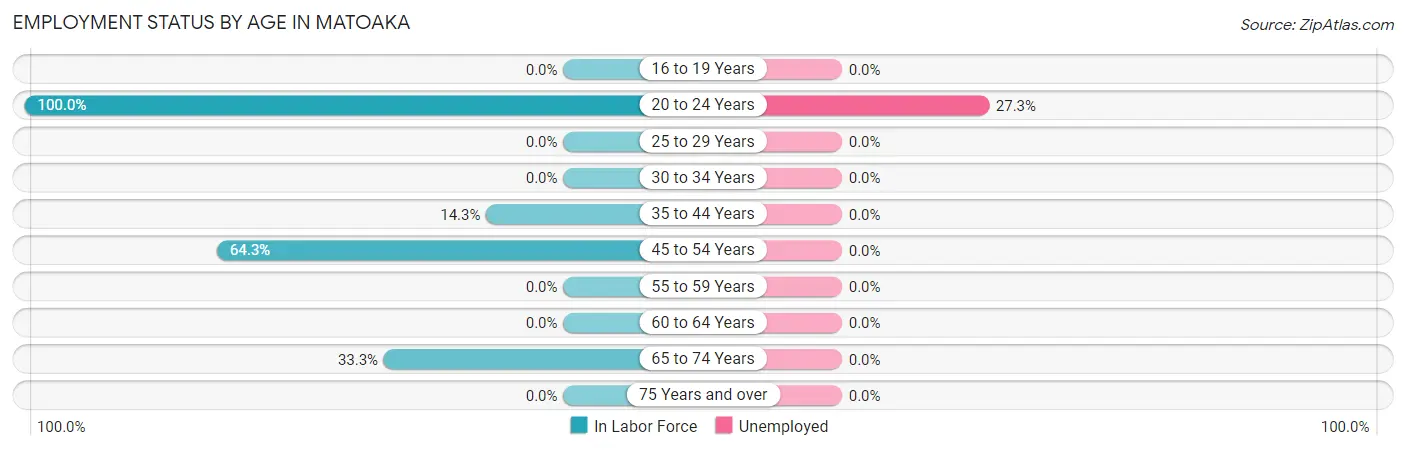 Employment Status by Age in Matoaka