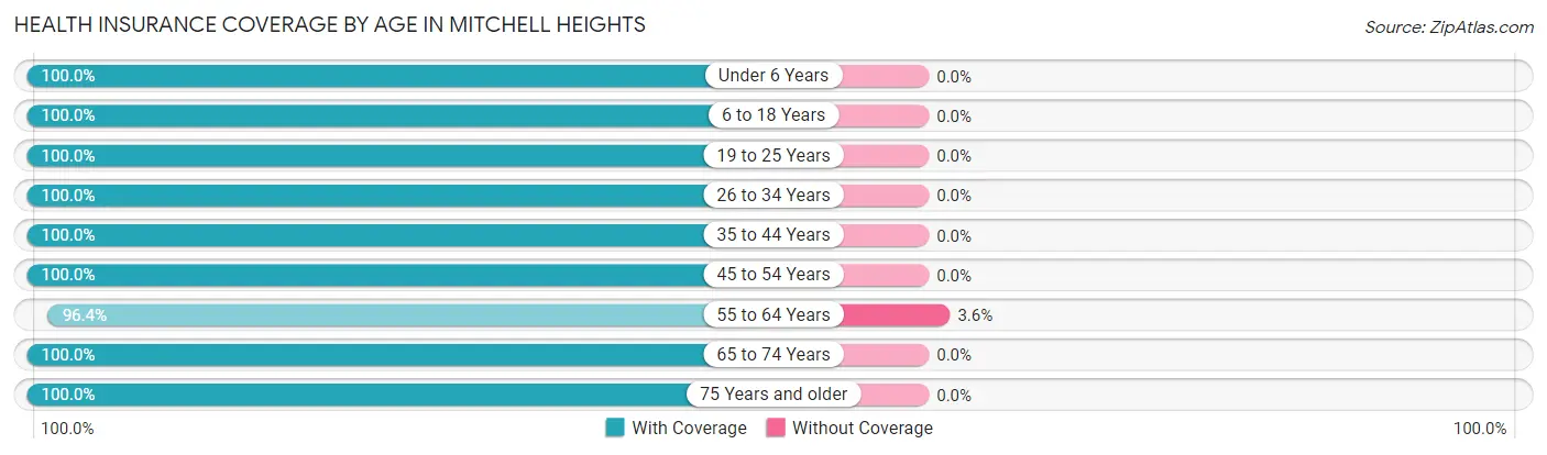 Health Insurance Coverage by Age in Mitchell Heights