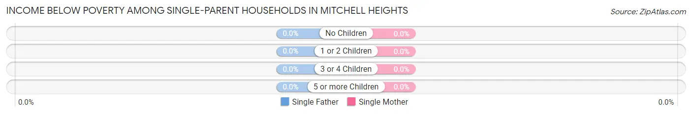 Income Below Poverty Among Single-Parent Households in Mitchell Heights