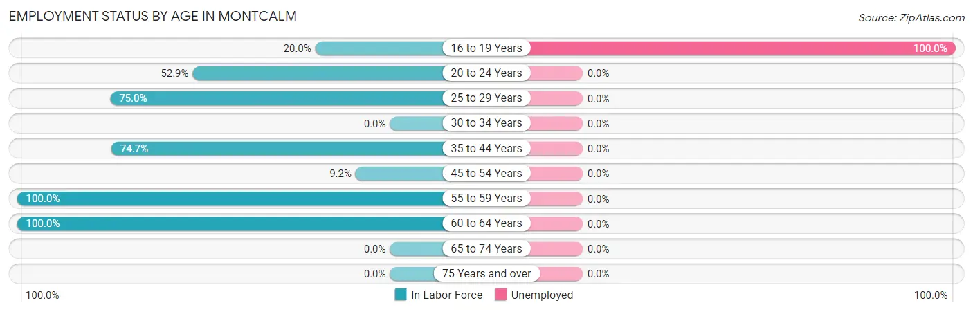 Employment Status by Age in Montcalm