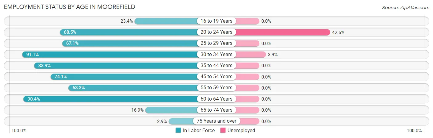 Employment Status by Age in Moorefield