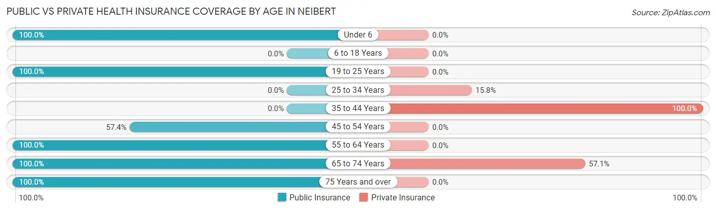 Public vs Private Health Insurance Coverage by Age in Neibert