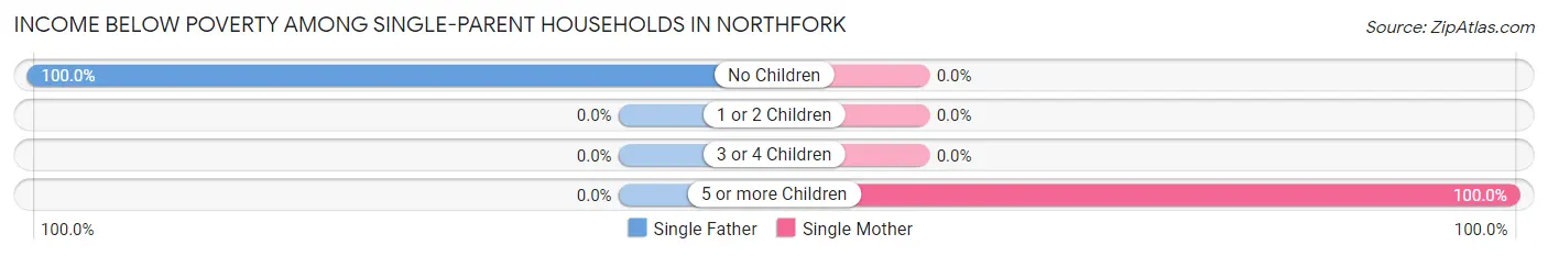 Income Below Poverty Among Single-Parent Households in Northfork