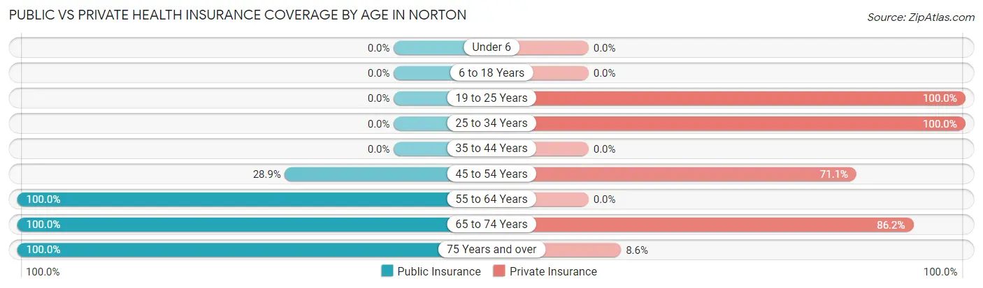 Public vs Private Health Insurance Coverage by Age in Norton