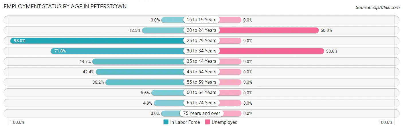 Employment Status by Age in Peterstown
