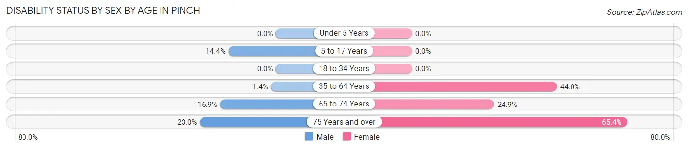 Disability Status by Sex by Age in Pinch