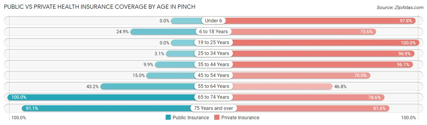 Public vs Private Health Insurance Coverage by Age in Pinch