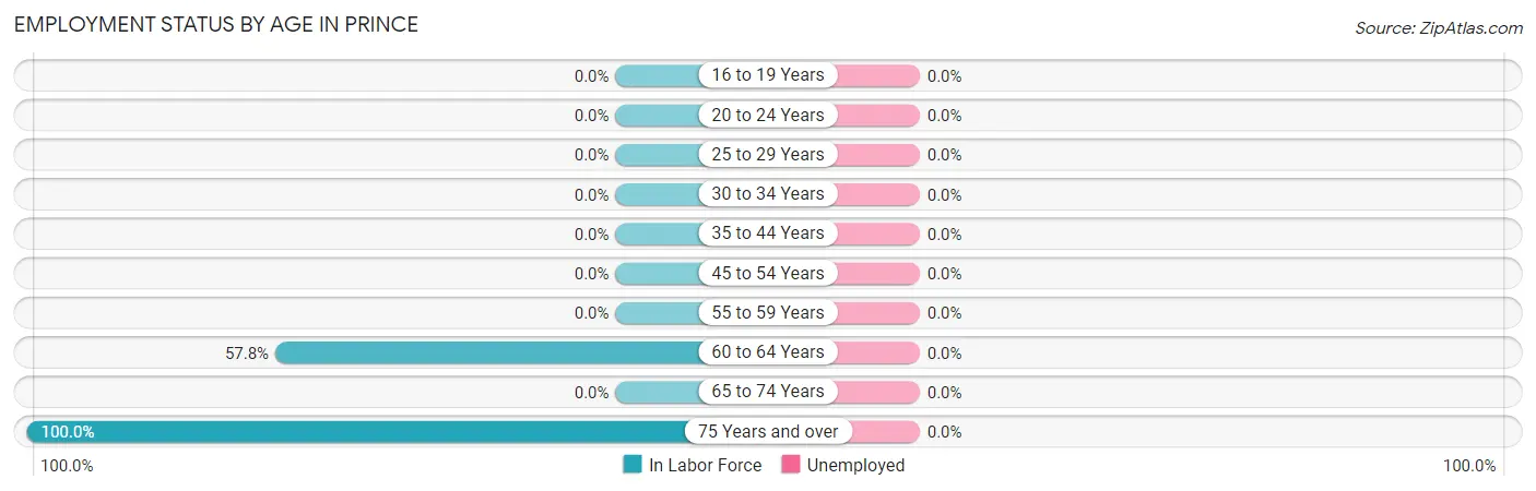 Employment Status by Age in Prince