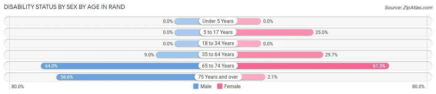 Disability Status by Sex by Age in Rand