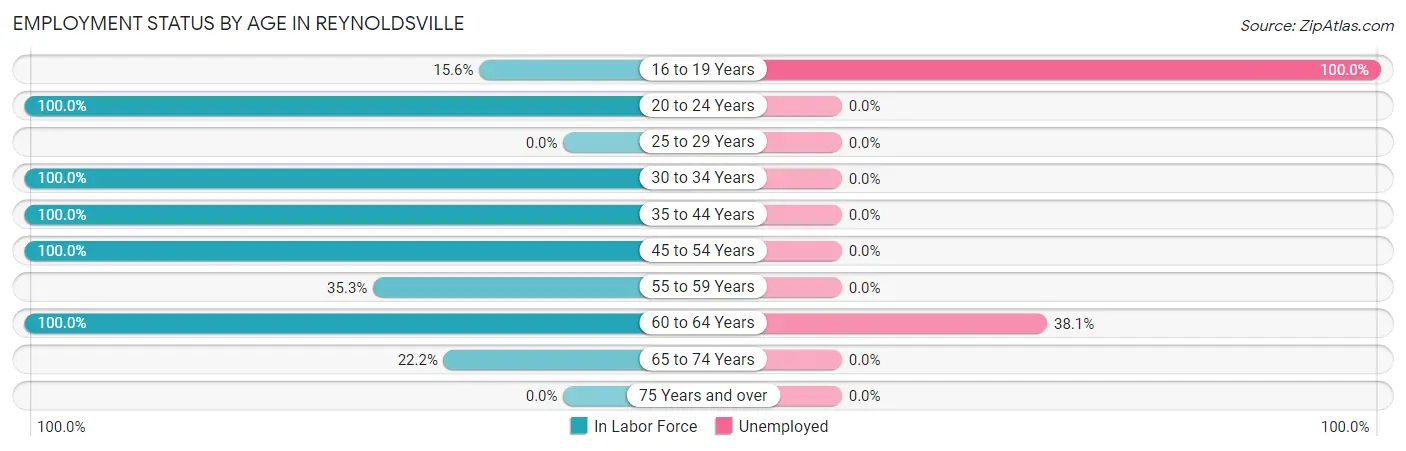 Employment Status by Age in Reynoldsville