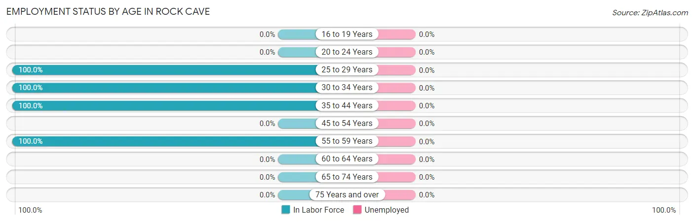 Employment Status by Age in Rock Cave