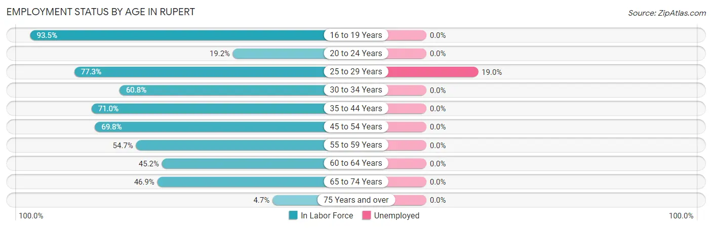 Employment Status by Age in Rupert