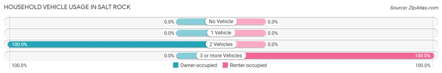 Household Vehicle Usage in Salt Rock