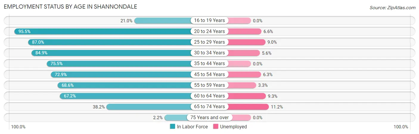 Employment Status by Age in Shannondale