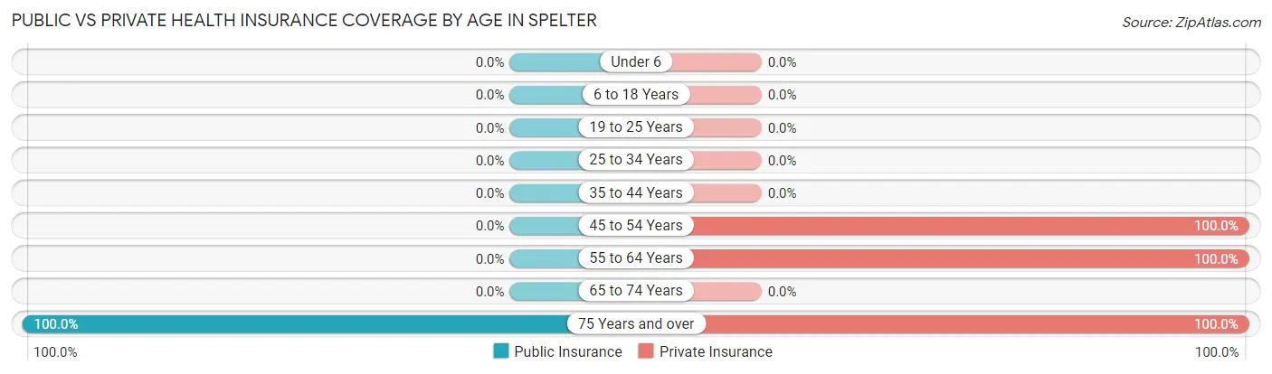 Public vs Private Health Insurance Coverage by Age in Spelter