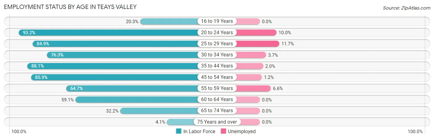 Employment Status by Age in Teays Valley