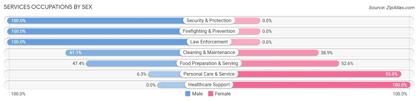 Services Occupations by Sex in Terra Alta