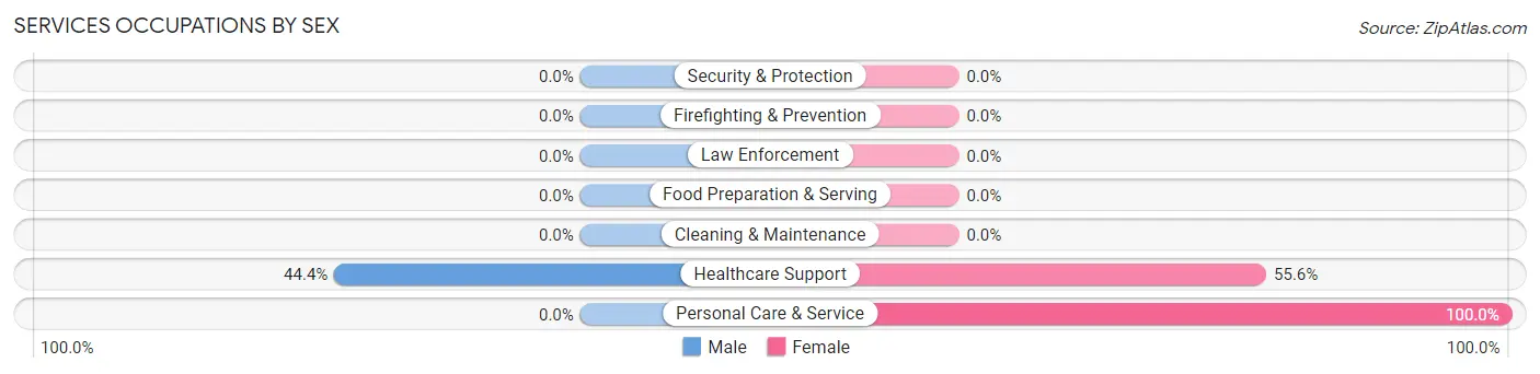 Services Occupations by Sex in War