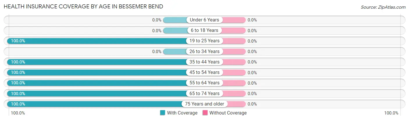 Health Insurance Coverage by Age in Bessemer Bend