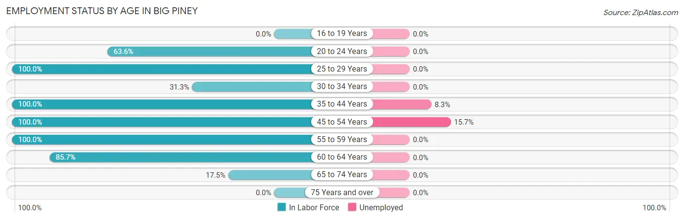 Employment Status by Age in Big Piney