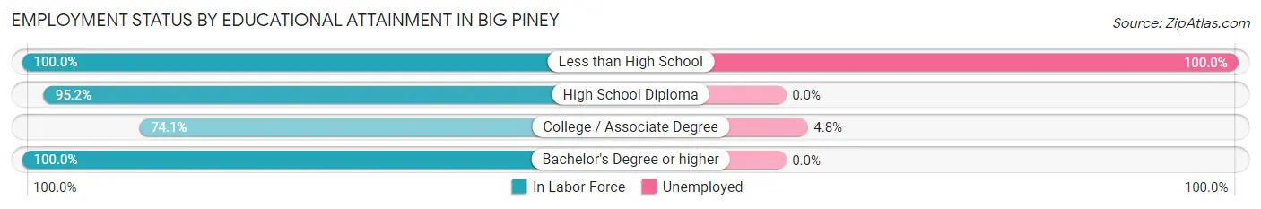 Employment Status by Educational Attainment in Big Piney