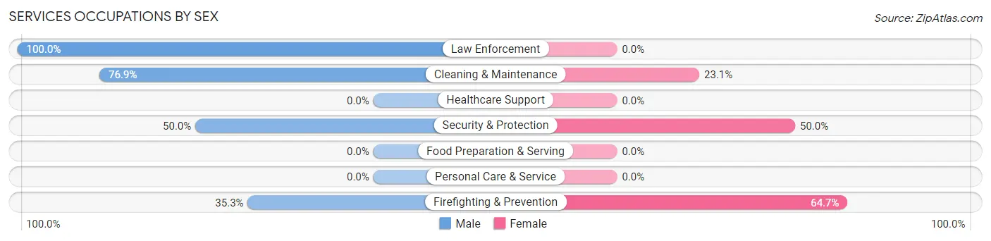 Services Occupations by Sex in Big Piney