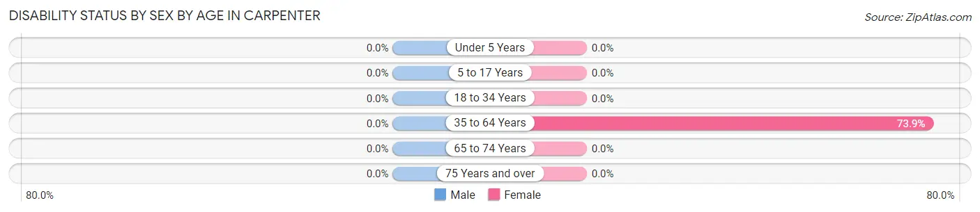 Disability Status by Sex by Age in Carpenter