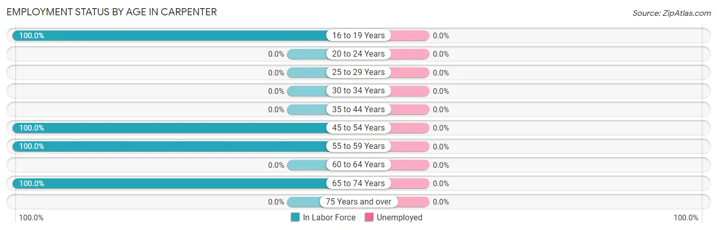 Employment Status by Age in Carpenter