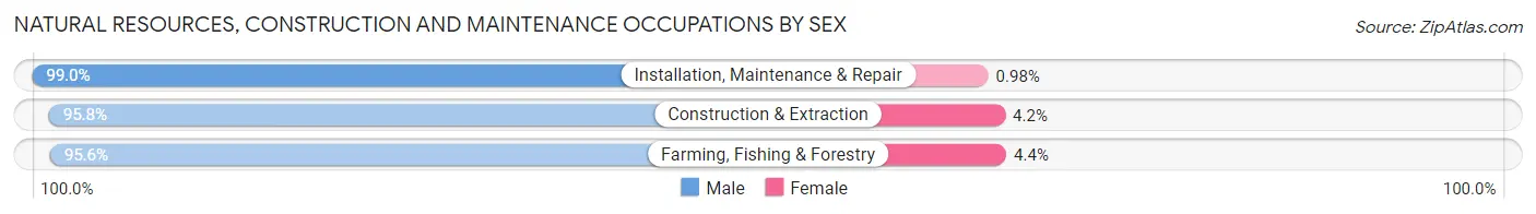 Natural Resources, Construction and Maintenance Occupations by Sex in Cheyenne