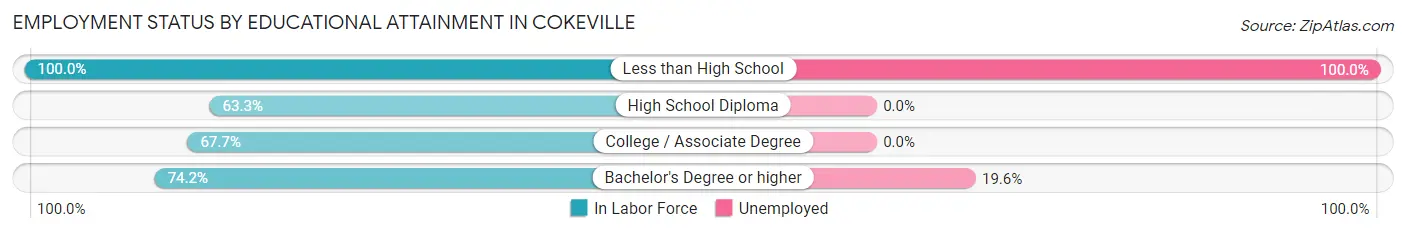 Employment Status by Educational Attainment in Cokeville