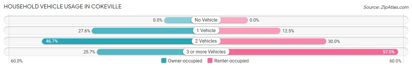 Household Vehicle Usage in Cokeville