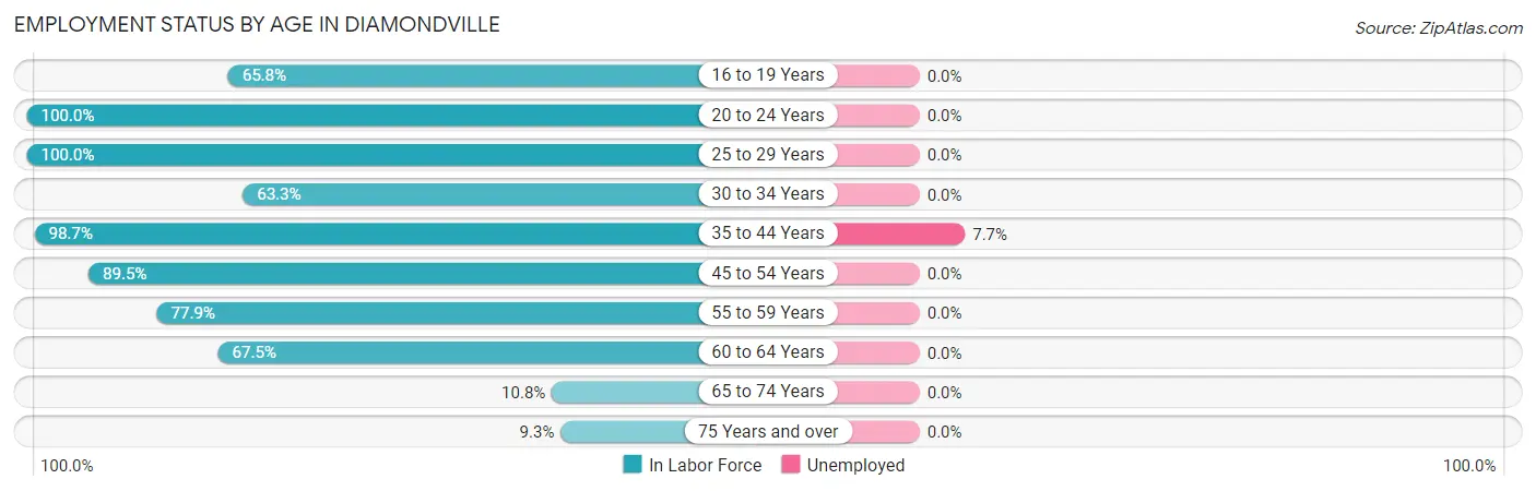 Employment Status by Age in Diamondville