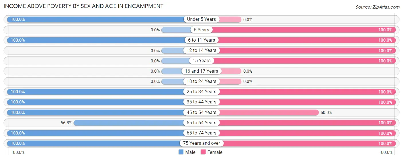 Income Above Poverty by Sex and Age in Encampment