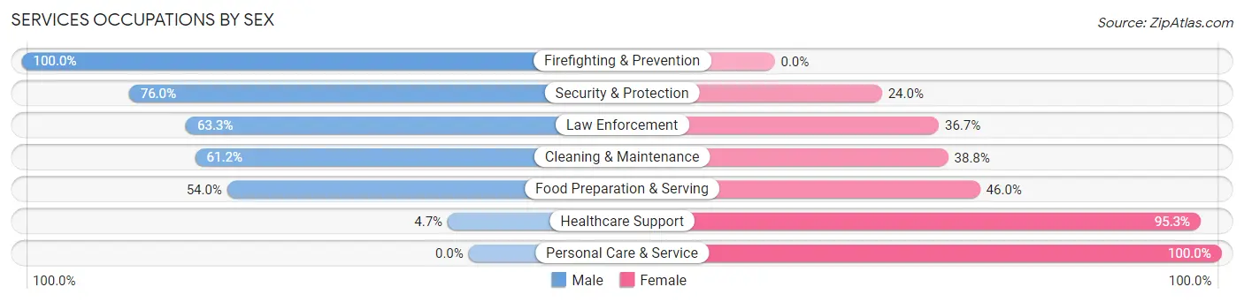 Services Occupations by Sex in Evanston