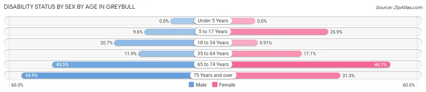 Disability Status by Sex by Age in Greybull